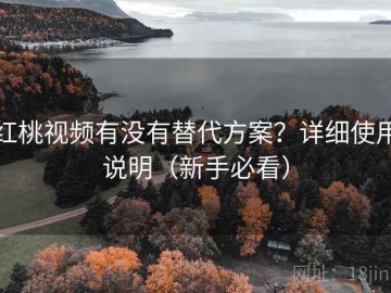 红桃视频有没有替代方案？详细使用说明（新手必看）