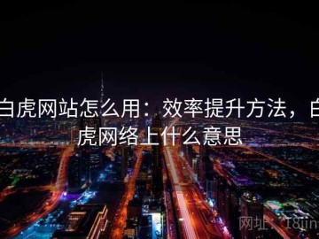 白虎网站怎么用：效率提升方法，白虎网络上什么意思