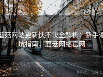 蘑菇网站更新快不快全解析：新手避坑指南，蘑菇网络官网