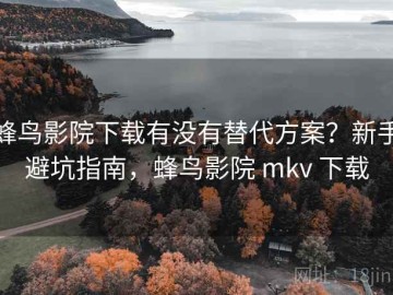 蜂鸟影院下载有没有替代方案？新手避坑指南，蜂鸟影院 mkv 下载