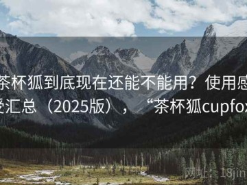 茶杯狐到底现在还能不能用？使用感受汇总（2025版），“茶杯狐cupfox”