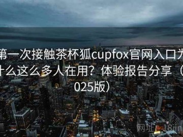 第一次接触茶杯狐cupfox官网入口为什么这么多人在用？体验报告分享（2025版）