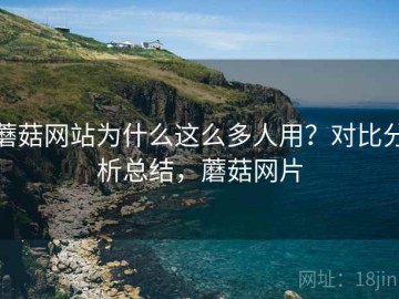 蘑菇网站为什么这么多人用？对比分析总结，蘑菇网片