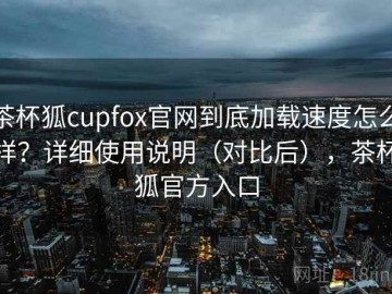 茶杯狐cupfox官网到底加载速度怎么样？详细使用说明（对比后），茶杯狐官方入口