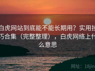 白虎网站到底能不能长期用？实用技巧合集（完整整理），白虎网络上什么意思
