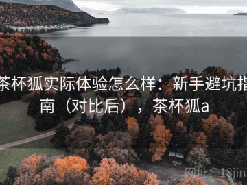 茶杯狐实际体验怎么样：新手避坑指南（对比后），茶杯狐a