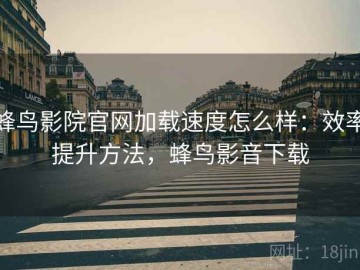 蜂鸟影院官网加载速度怎么样：效率提升方法，蜂鸟影音下载
