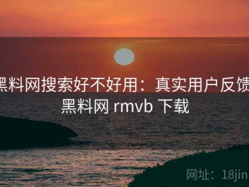 黑料网搜索好不好用：真实用户反馈，黑料网 rmvb 下载