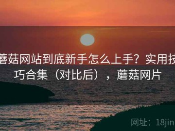 蘑菇网站到底新手怎么上手？实用技巧合集（对比后），蘑菇网片