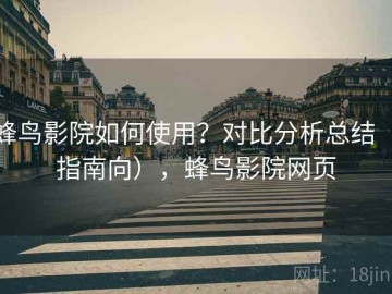 蜂鸟影院如何使用？对比分析总结（指南向），蜂鸟影院网页