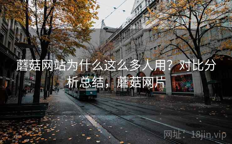 蘑菇网站为什么这么多人用？对比分析总结，蘑菇网片