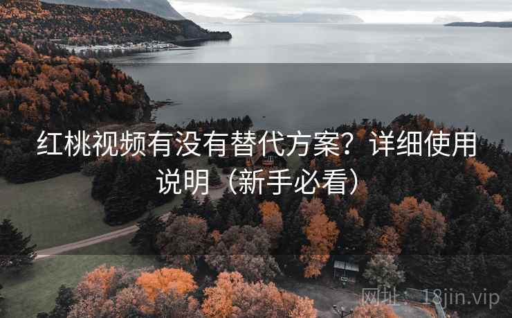 红桃视频有没有替代方案？详细使用说明（新手必看）