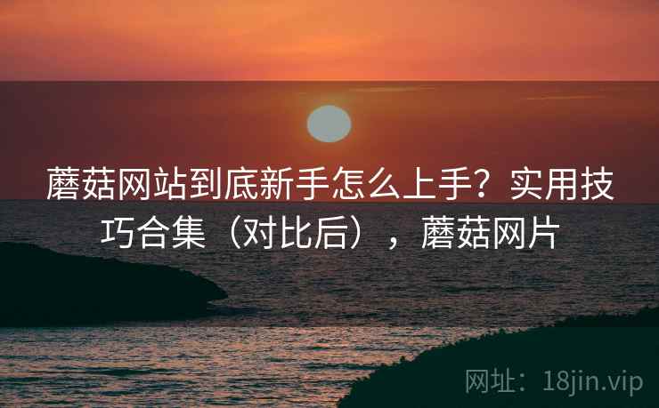 蘑菇网站到底新手怎么上手？实用技巧合集（对比后），蘑菇网片