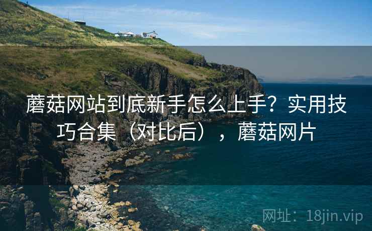 蘑菇网站到底新手怎么上手？实用技巧合集（对比后），蘑菇网片