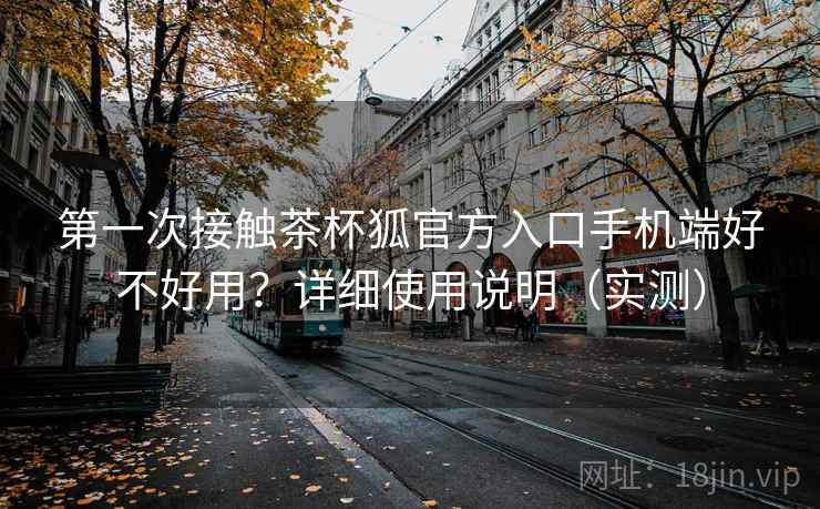 第一次接触茶杯狐官方入口手机端好不好用？详细使用说明（实测）