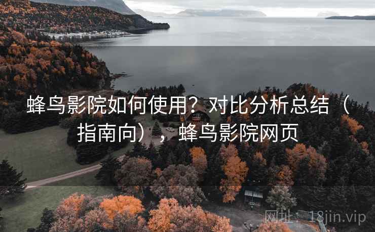 蜂鸟影院如何使用？对比分析总结（指南向），蜂鸟影院网页