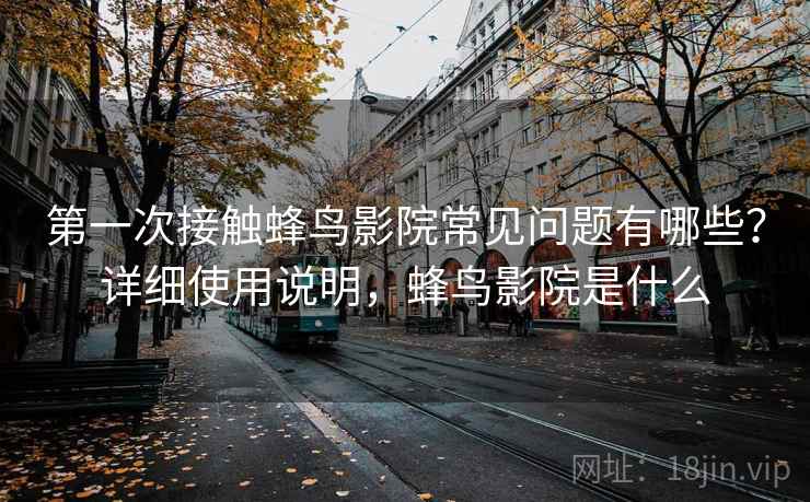 第一次接触蜂鸟影院常见问题有哪些?详细使用说明,蜂鸟影院是什么 第一次接触蜂鸟影院常见问题有哪些?详细使用说明,蜂鸟影院是什么