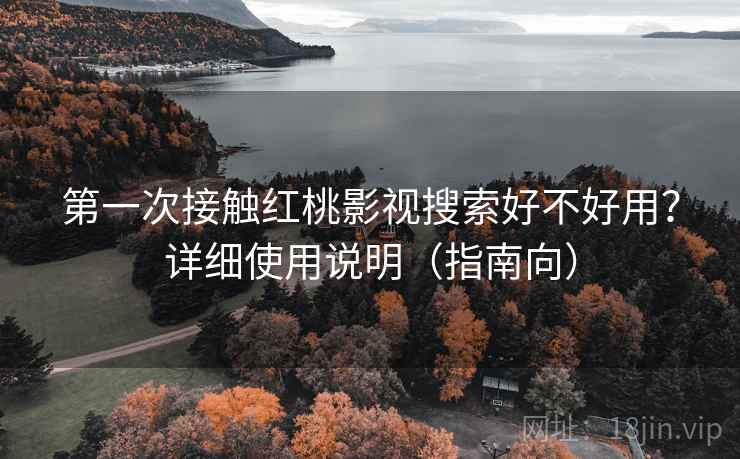 第一次接触红桃影视搜索好不好用?详细使用说明(指南向) 第一次接触红桃影视搜索好不好用?详细使用说明(指南向)