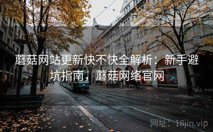 蘑菇网站更新快不快全解析：新手避坑指南，蘑菇网络官网